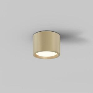MAYTONI Stropní svítidlo Hydra 10W 120d C090CL-10W3K-MG obraz