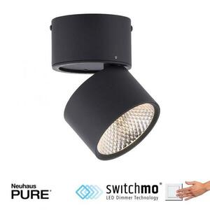 PAUL NEUHAUS LED stropní bodové svítidlo PURE-NOLA černá 1 ramenné otočné stmívatelné krokově stmívatelné 3000K PN 6451-18 obraz