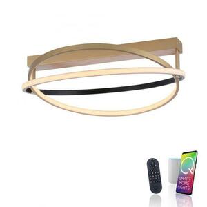 PAUL NEUHAUS LED stropní svítidlo Q-BELUGA matná mosaz stmívatelné Smart Home ZigBee 2700-5000K PN 6739-60 obraz