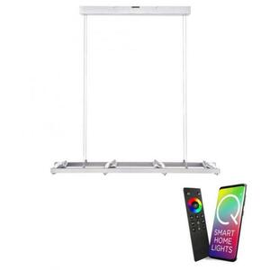 PAUL NEUHAUS Q-FISHEYE, LED závěsné svítidlo, Smart Home RGB+2700K PN 2460-55 obraz